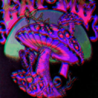 Grybasz