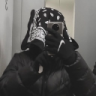 zodiak381