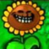 eawewaewaewaewa