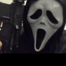 nocoo