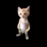 kimioottt