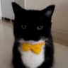 samuthepro0009