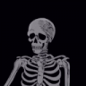 RedR4ptr