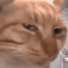 mrkuiz