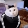 muffin11