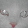 miklio