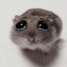 ShivaPlays