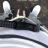 Brandon_MK4