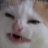 tommy_143